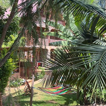 David Crater Homestay Lushoto Exterior photo
