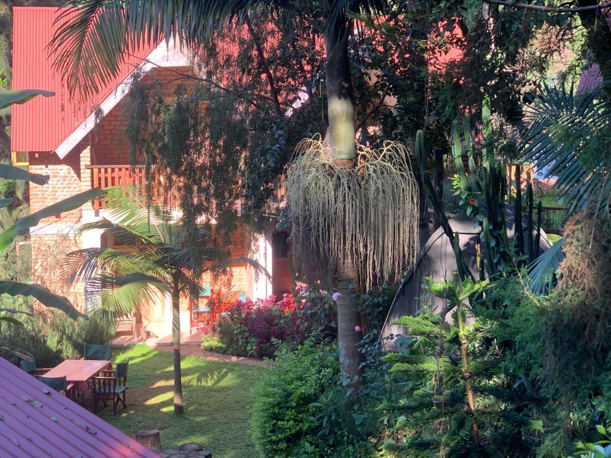 David Crater Homestay Lushoto Exterior photo